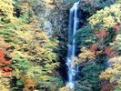 蛇王の滝<当館から車で45分>