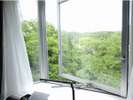 客室からの景色(4階)