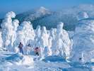 みやぎ蔵王の樹氷