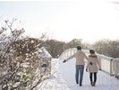 【大沼国定公園】駒ヶ岳のビュースポットが点在しています!