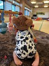 ◎赤ちゃん休憩室◎たくさんハイハイして遊んでください。