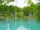 【夏】青い池