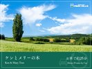 ケンとメリーの木/車で約25分
