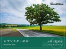 セブンスターの木/車で約30分