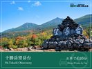 十勝岳望岳台/車で約10分