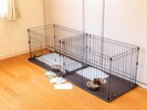 ワンちゃんコテージ|ケージ2個と、その他愛犬に嬉しいアメニティをご用意しております!