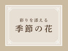 館内を彩る季節の花