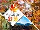 【紅葉情報】ホテルから約1時間以内の紅葉スポットをご紹介