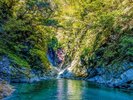 【尾白川渓谷】10月中旬ごろから11月中旬まで楽しめます