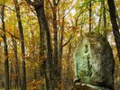 【信玄棒道】10月下旬ごろから11月中旬まで楽しめます