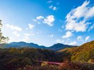 【東沢大橋】10月下旬から11月上旬までお楽しみいただけます。