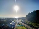 ���ى��ォ�瓌�̑����m��]�ށB�E��ɐ��������܂��B