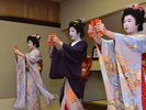 「芸妓」が行きかう町、古町