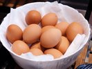 新鮮な卵を使用したオムレツはイタリア軒自慢の一品