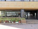 レストラン「マルコ ポーロ」イタリア人青年が始めた「伝統の味」をここに