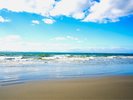 �g���Ŗڊo�ߔg���Ŗ���B�B�����̂��h