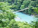 寸又峡 夢のつり橋