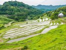 上山棚田:ホテルから車で約70分