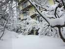雪雪雪