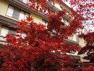 四季折々の表情を見せる日本庭園
