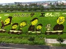 田舎館村!もはや世界の田んぼアート!