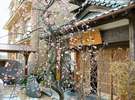 玄関横の”しだれ梅”
