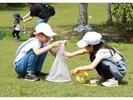 夏休み虫取り画像