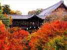京都・東福寺の紅葉