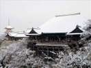 冬の清水寺