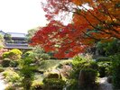 【日本庭園】四季を感じる◇3,500坪の広大な庭園◇