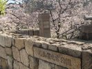 毛馬桜之宮公園