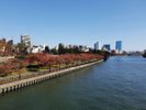 毛馬桜之宮公園_秋
