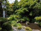 *【中庭】建物、お部屋、庭園の全てが美しい和の空間です。