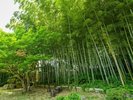 *【中庭】建物、お部屋、庭園の全てが美しい和の空間です。