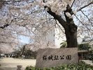 桜城址公園