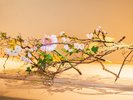 館内のお花