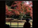 【奈良観光紹介】正暦寺(ホテルから車で約30分)紅葉の名所です。