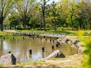 *�y���邮��L��z�Ő[�ċz�B���ʂɉf��΂��������A�Ґ쉈���̐Â��Ȏ���