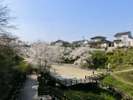 丹後沢公園