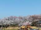 富ケ浦公園