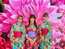 「蜷川実花監修 DOGO ARTオリジナル浴衣」
