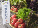 【夕食ビュッフェプラン/ホテル棟ビュッフェレストラン】メニュー一例