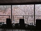 【2Fゲストサロン】桜の季節も格別の趣です。