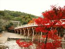 伊勢神宮内宮まで35分ほど。