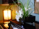 館内を飾る花と書画、和のくつろぎを…