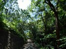 円山公園へとつづくみどりの中の心地よい小路。