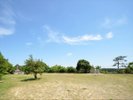 気持ちいい広大な芝広場「円山公園」。当館より5分ほど。