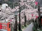 4月には桜がお楽しみいただけるかも・・・!?