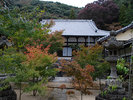 国宝・四天王像が安置される広福寺 徒歩5分