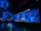 沼津港深海水族館